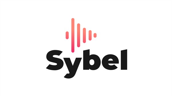 renault megane - application sybel